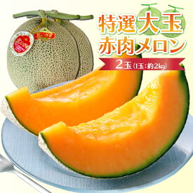 【ふるさと納税】（先行予約）特選大玉赤肉メロン【令和7年7月末発送】