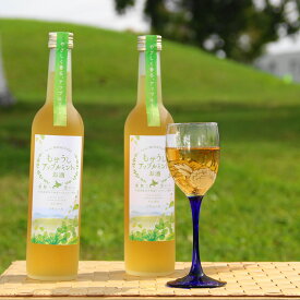 【ふるさと納税】もせうしアップルミントのお酒【葉舞な里から】2本セット