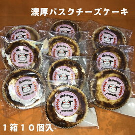 【ふるさと納税】大黒屋菓子舗の濃厚バスクチーズケーキ　10個入り