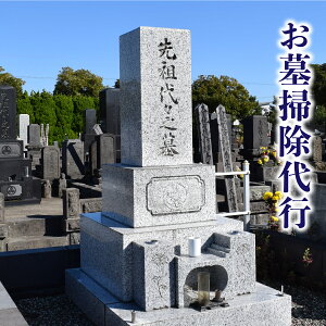 yӂ邳Ɣ[Łz|sT[rX ^ kC w s  | Q