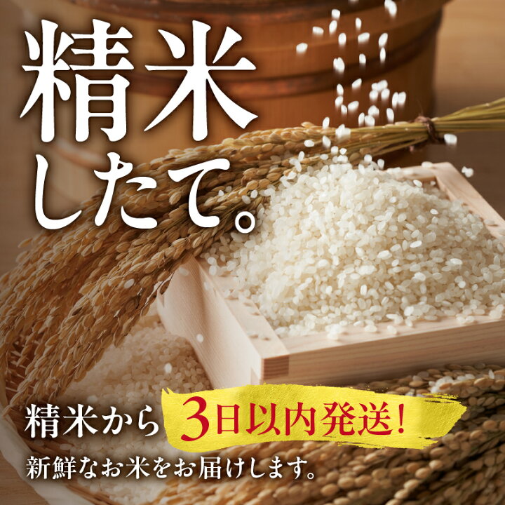 楽天市場】【ふるさと納税】令和7年産 うりゅう米 ゆめぴりか 精米 無 