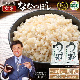 【ふるさと納税】令和5年産 うりゅう米 ななつぼし 玄米 10kg（5kg×2袋）毎月1回 計12回お届け 北海道産 ななつぼしブランド 米 ごはん おにぎり お弁当 つや ふっくら 和食 粘り ほどよい甘み 冷めてもおいしい バランスに優れた味わい お取り寄せ 北海道 雨竜町 送料無料