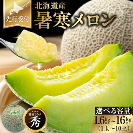 【ふるさと納税】令和8年産 先行予約 内容量が選べる！ 北海道雨竜町 暑寒（しょかん）メロン《 2026年7月より 発送予定 》 青肉 果物 春 夏 秋 冬 御中元 フルーツ 生ハム パフェ ケーキ デザート ピューレ めろん お取り寄せ 北海道 雨竜町 送料無料