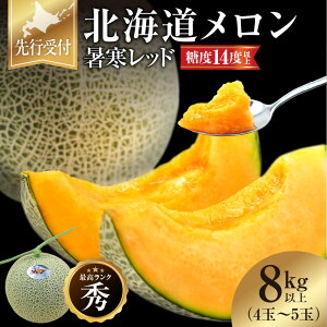 �y�ӂ邳�Ɣ[�Łz�ߘa8�N�Y ��s�\�� ���e�ʂ��I�ׂ�I �k�C���J���� �����i���傩��j���b�h�s 2026�N9����� �����\�� �t �ԓ� �ʕ� �t���[�c�̉��l �t �� �H �~ �䒆�� �t���[�c ���n�� �p