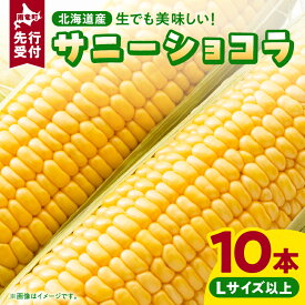 【ふるさと納税】【令和6年産先行予約】2024年発送 生でも美味しい スイートコーン「サニーショコラ」とうもろこし 野菜 コーン 産地直送 とうきび お取り寄せ 北海道 雨竜町 送料無料