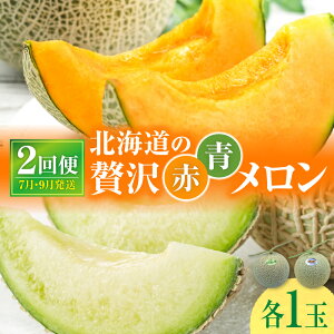 yӂ邳Ɣ[Łzy 7E9ԓzkCґ@ bh Hה 2 ye1ʂÂz  Hה s\ kC ԓ  x 14xȏ 2026N 7 9