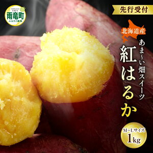 yӂ邳Ɣ[ŁzyʌzȂ܂ÂIkCJY ܂ ug͂邩v M-LTCY 1kg ߃TCY Yn ܂ Tc}C kC Y  َq  kC