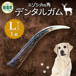 yӂ邳Ɣ[Łz yʌz G]VJ̊pf^KLTCY i ^ jVR̃K  C   L\h JVE  ~l Lx Nێ XgX 