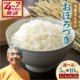 【ふるさと納税】＼ 最短4営業日以内発送～！ ／ 令和7年産 川越さんちのおぼろづき【 選べる！5kg or 10kg / 1回 ・ 4回 ・ 6回 ・ 12回 】 北海道産米 精米 白米 ごはん ブランド 定期便 米 もっちり やわらか おにぎり お弁当 バランスが良い 北海道 雨竜町 送料無料
