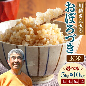 yӂ邳Ɣ[Łzߘa7NY z񂿂̂ڂÂ āy IׂI5kg or 10kg / 1 E 4 E 6 E 12 z kCY ͂ uh    炩 ɂ ٓ o