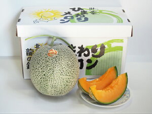 yӂ邳Ɣ[Łz Ђ܂  ԓ /  kC  x Y Â 2 4`6 9{10{ɏ //melon