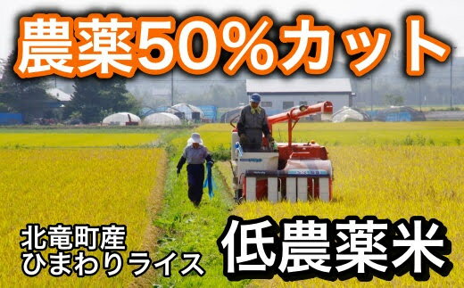 アイテムID:495645の画像4枚目