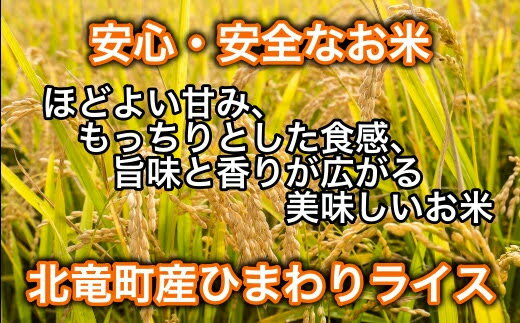 アイテムID:495645の画像5枚目