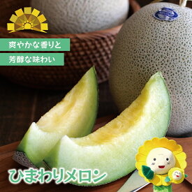 【ふるさと納税】 ひまわり メロン 青肉 / 高級 北海道 贈答 高糖度 国産 甘い 2玉 4～6玉 ※7月上旬～8月上旬に順次発送 //melon