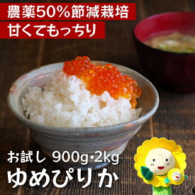 【ふるさと納税】 ゆめぴりか 令和7年産 お試し 6合(900g) ・ 2kg ・4kg / お米 白米 ごはん こめ 北海道米 ※1か月以内に発送予定 //rice
