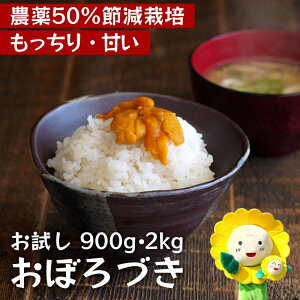 yӂ邳Ɣ[Łz ڂÂ V  6(900g) E 2kg /  ͂  kC 10{` //rice
