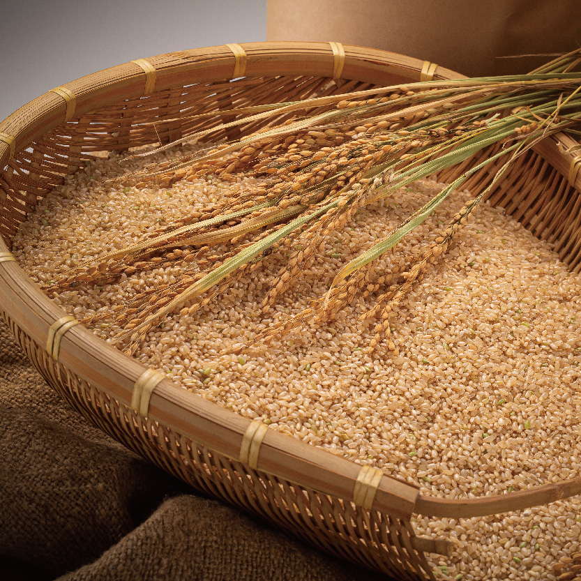 令和5年産 北海道米　ゆめぴりか　玄米　5kg