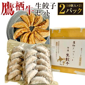 【ふるさと納税】鷹栖牛 生餃子セット たかすぎゅうっと生餃子 10個入り×2パック 合計20個 北海道 鷹栖町 新田ファーム 牛肉 冷凍餃子 生餃子 牛肉 冷凍 送料無料