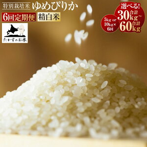 yӂ邳Ɣ[ŁzyցzqIׂeʁr߂҂肩 () 5kg 10kg y2025N10{蔭Jnzv30kg 60kg kC  \lC̕i kC 鐲 ̂ ʍ͔|