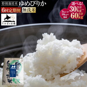 yӂ邳Ɣ[ŁzqIׂeʁry6ցz߂҂肩 () 5kg 10kg y2025N10{蔭Jnz v30kg 60kg kC 鐲 ̂ ʍ͔|  R    