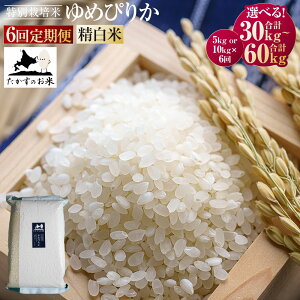 yӂ邳Ɣ[Łzy6ցz߂҂肩 () ^pbN5kg 10kg 6 ^pbN v30kg 60kg y2025N10{蔭Jnz kC  \lC̕i kC 鐲 ̂