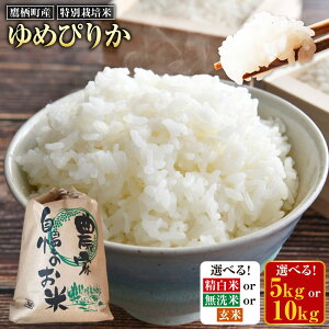 yӂ邳Ɣ[Łzyߘa7NYz߂҂肩 iIׂ    / 5kg or 10kgj     ʍ͔|   Ă Y 鐲Y kC 鐲  y2025N9
