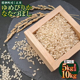 【ふるさと納税】【令和7年産】 ゆめぴりか ななつぼし（玄米） （選べる 10kg（5kg×2種） / 20kg（5kg×2袋×2種）） 北海道 鷹栖町 たかすタロファーム 米 コメ こめ ご飯 玄米 お米 ゆめぴりか ななつぼし 送料無料