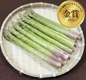 yӂ邳Ɣ[Łẑ AXp O[AXp LTCYȏ kC 鐲   AXp AXpKX kC 鐲  y2026N4{`5{\z