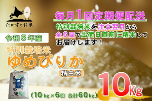 yӂ邳Ɣ[Łzy6ցzyߘa7NYz߂҂肩iāj10kg×6 y2025N11{蔭Jnz kC  \lC̕i kC 鐲 ̂ ʍ͔|  R