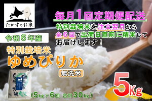 yӂ邳Ɣ[Łzy6ցzyߘa7NYz߂҂肩iāj5kg×6 b AN kC  \lC̕i kC 鐲 ̂ ʍ͔|  R    