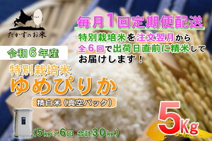 yӂ邳Ɣ[Łzy6ցzyߘa7NYz߂҂肩i^Eāj5kg×6 bAN ^pbN kC  \lC̕i kC 鐲 ̂ ʍ͔|  R 