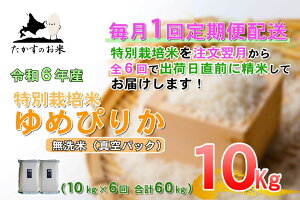 yӂ邳Ɣ[Łzy6ցzyߘa7NYz߂҂肩i^Eāj10kg×6 AN kC  \lC̕i kC 鐲 ̂ ʍ͔|  R   