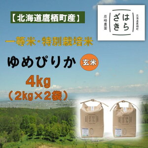 yӂ邳Ɣ[ŁzA114yߘa7NYzꓙāEʍ͔| 4kgy߂҂肩āz2kg×2i_7jkC 鐲 _