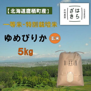 yӂ邳Ɣ[ŁzA270yߘa7NYzꓙāEʍ͔| 5kgy߂҂肩āz5kg×1i_7jkC 鐲 _