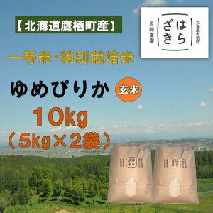 yӂ邳Ɣ[ŁzA272 yߘa7NYzꓙāEʍ͔| 10kgy߂҂肩āz5kg×2i_7jkC 鐲 _