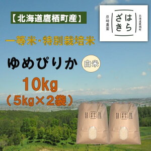 yӂ邳Ɣ[ŁzA273yߘa7NYzꓙāEʍ͔| 10kgy߂҂肩āz5kg×2܁i_7jkC 鐲 _