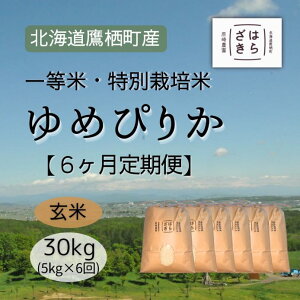 yӂ邳Ɣ[ŁzF023 6 yߘa7NYzꓙāEʍ͔|30kgy߂҂肩āz5kg×6i_7jkC 鐲 _