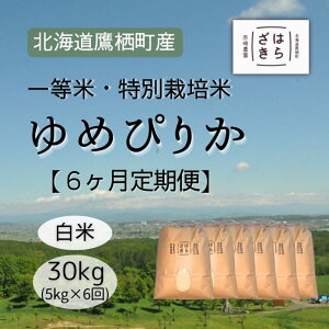 yӂ邳Ɣ[ŁzF024 6 yߘa7NYzꓙāEʍ͔| 30kgy߂҂肩āz5kg×6i_7jkC 鐲 _