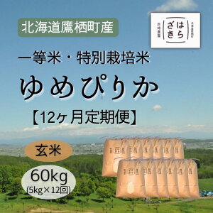yӂ邳Ɣ[ŁzF025 12 yߘa7NYzꓙāEʍ͔|60kgy߂҂肩āz5kg×12i_7jkC 鐲 _