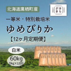 yӂ邳Ɣ[ŁzF026 12 yߘa7NYzꓙāEʍ͔| 60kgy߂҂肩āz5kg×12i_7jkC 鐲 _