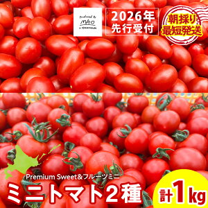 yӂ邳Ɣ[Łzy2026Ns\ẑPremium Sweet t[c~j v1kg~jg}g ̂ VN N  g}g ӂ邳Ɣ[ kC _y