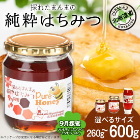 【ふるさと納税】東神楽産採れたまんまの純粋はちみつ 選べる260g〜600g【9月採密】オオハンゴンソウ・イタドリ etc.はちみつ ハチミツ 蜂蜜 国産 非加熱 完熟 調味料 ハニー 純粋 東神楽ふるさと納税 北海道ふるさと納税