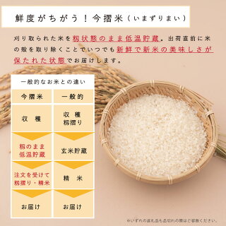 アイテムID:495319の画像2枚目