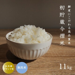 アイテムID:495319の画像1枚目