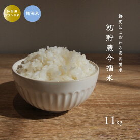 【ふるさと納税】※令和6年産※ 無洗米 11kg 令和6年産 むせんまい ブランド米 籾貯蔵今摺米 きたくりん 北海道米 北海道 当麻町 お米 10kg 以上 送料無料 定期便 アリ 米 furusatonouzei