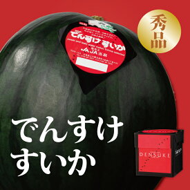 【ふるさと納税】 すいか でんすけすいか スイカ 2026年産 でんすけすいか秀品 北海道当麻町産 北海道 当麻町 高級 果物 産地直送 でんすけ 送料無料