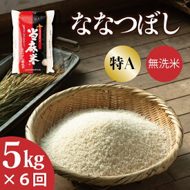 【ふるさと納税】令和7年産 ≪定期便6ヶ月≫ ななつぼし 無洗米 定期便 5kg 6回 特A 北海道米 北海道 当麻町 お米 お取り寄せ グルメ 送料無料 定期便 6ヶ月 ななつぼし 特A米 米 こめ コメ