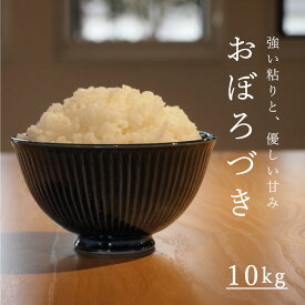 【ふるさと納税】※令和7年産※ 北海道 おぼろづき 10kg 定期便アリ 米 10kg以上 当麻町 長谷川農園 北海道米 精米 送料無料