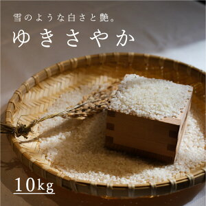 yӂ邳Ɣ[Łzߘa7NY䂫₩ 10kg փA 10kgȏ   J_ kC kC 