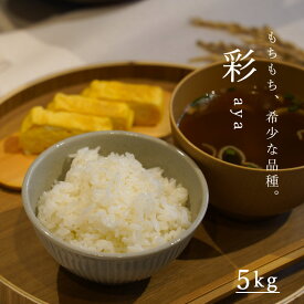 【ふるさと納税】※令和7年産※ 北海道 5kg 彩 あや 米 定期便アリ 5kg以上 当麻町 長谷川農園 北海道 北海道米 送料無料